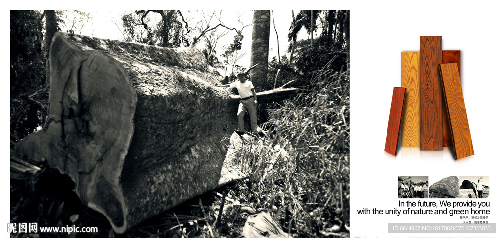 大自然地板户外形象