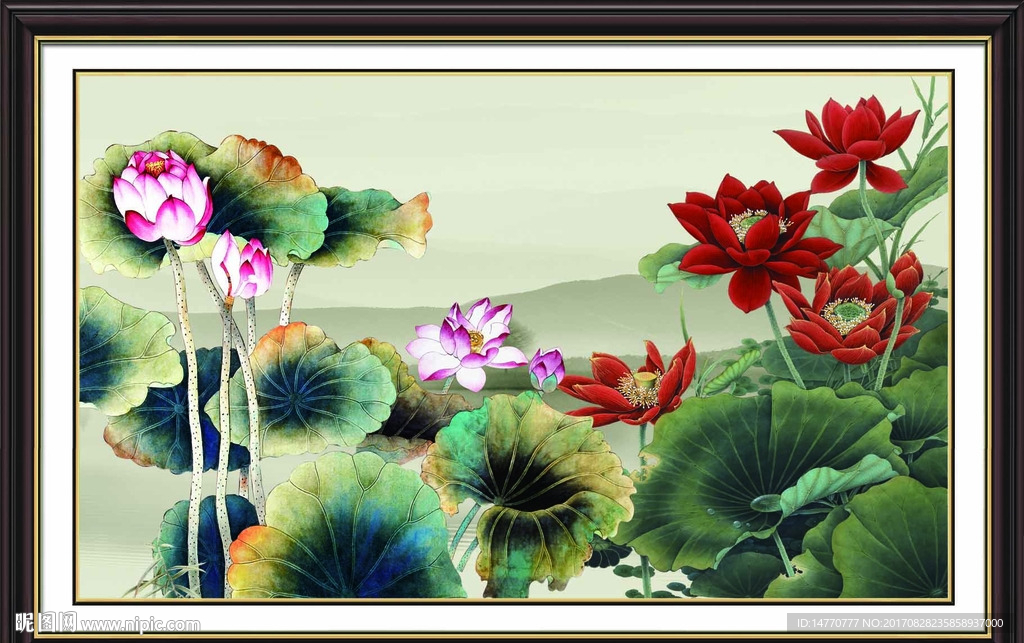 荷花图
