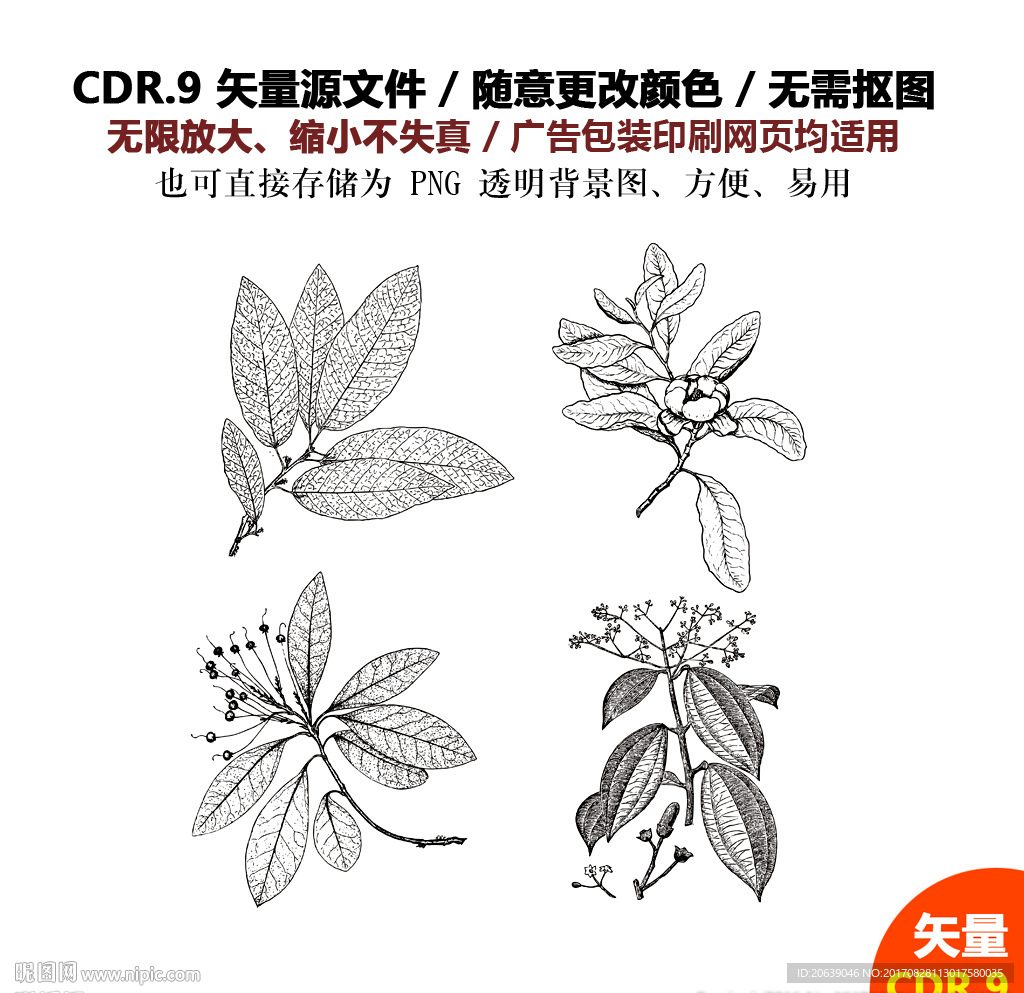 手绘植物花草矢量图