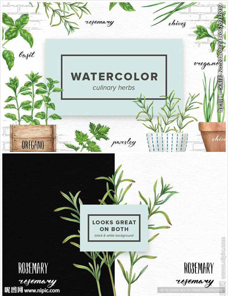 手绘西餐香料绿植香料水彩画