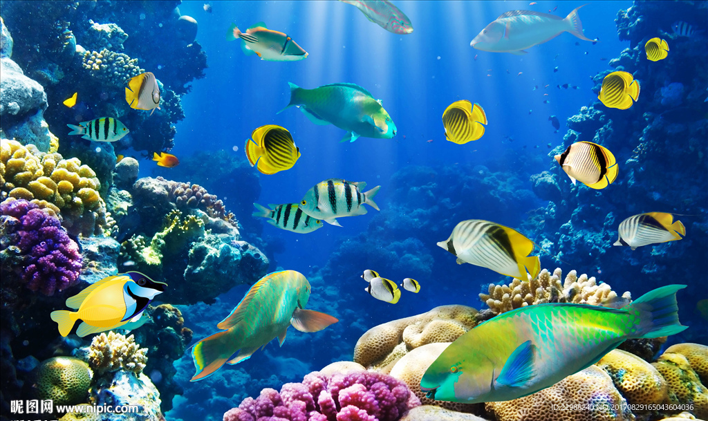 海底世界鱼群3D背景墙壁纸