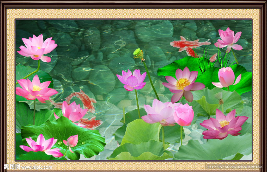 荷花鲤鱼图