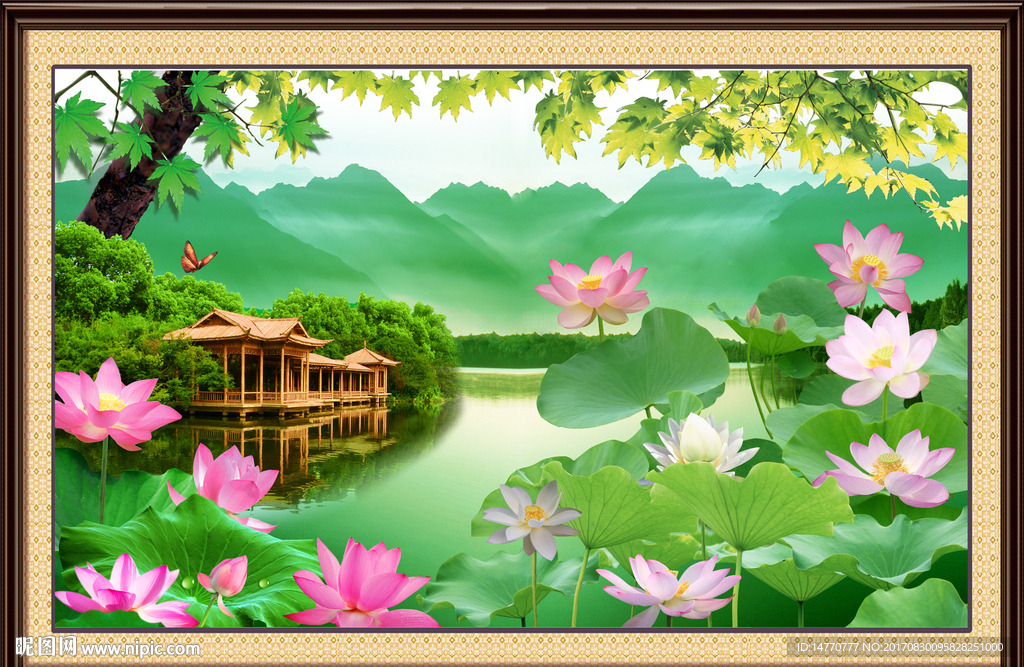 荷花风景图