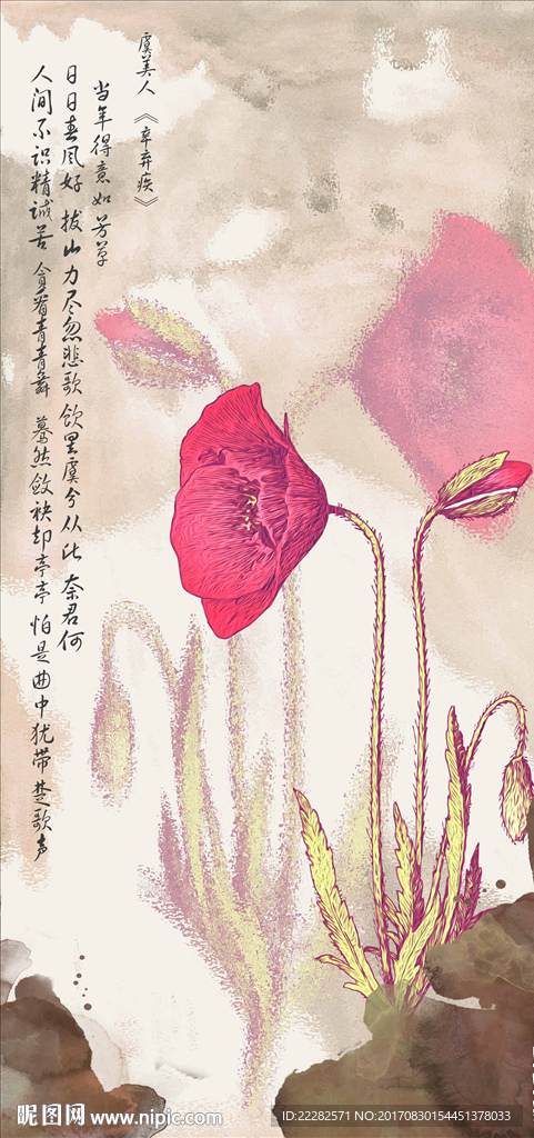 爱你的虞美人
