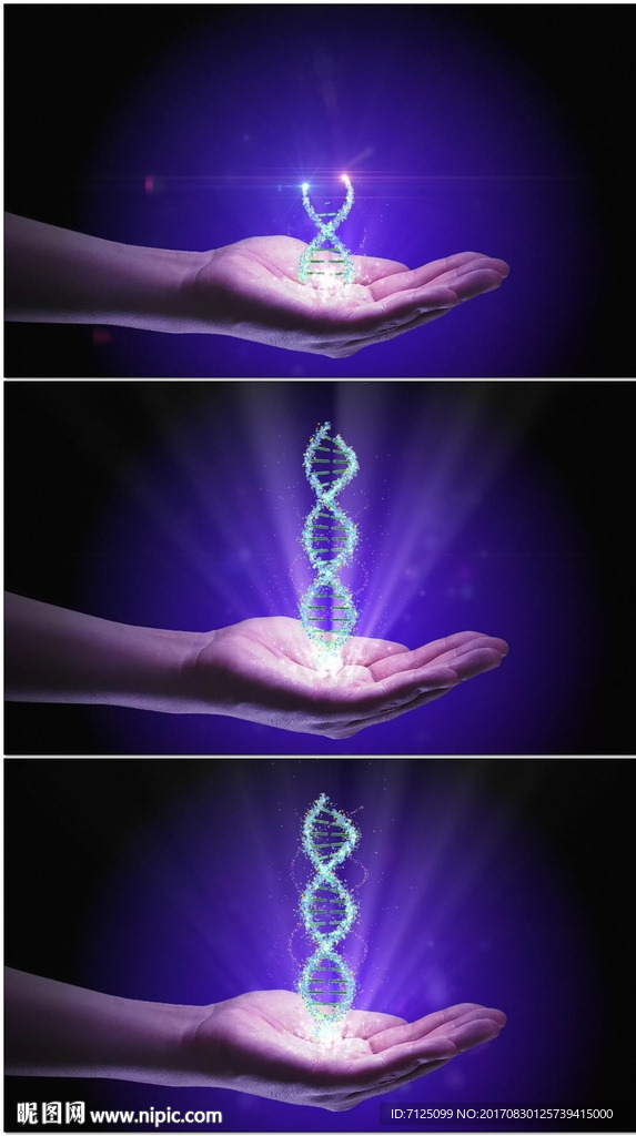 手掌上形成全息DNA