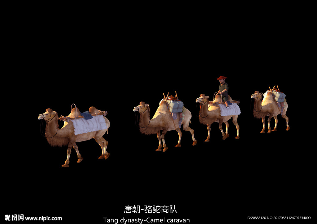骆驼