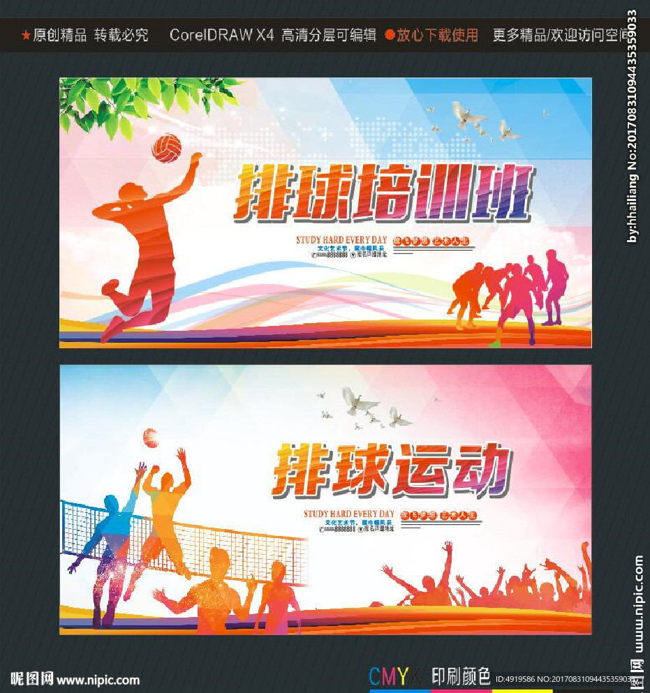 排球培训班 排球运动