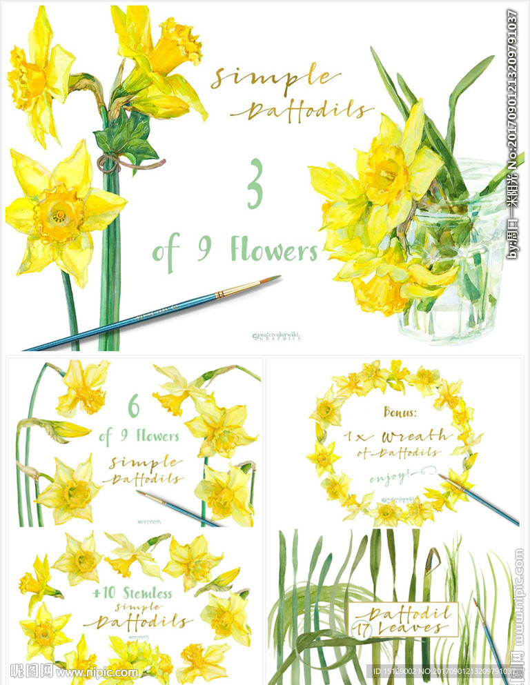 手绘黄水仙印花水彩图案