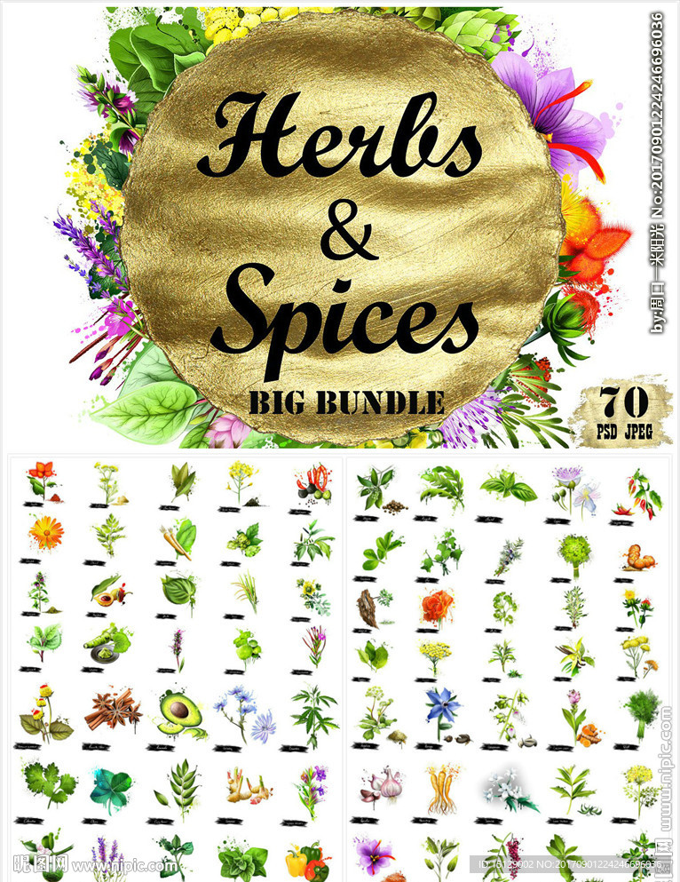 手绘调料水彩画