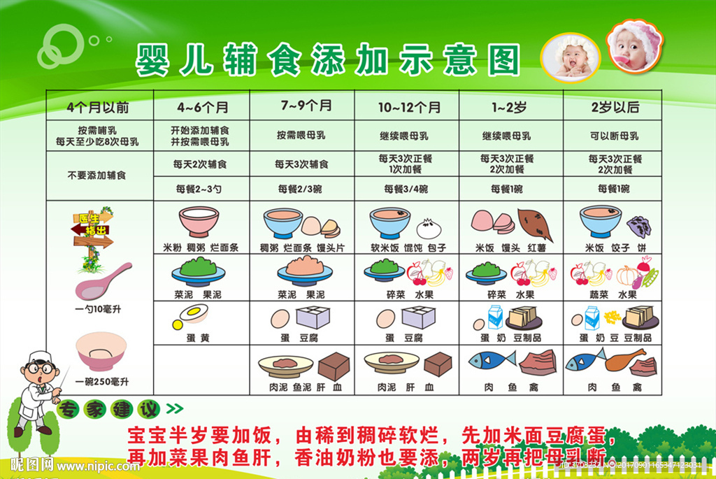 婴儿辅食添加示意图展板