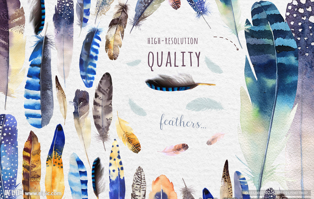 羽毛手绘水彩画