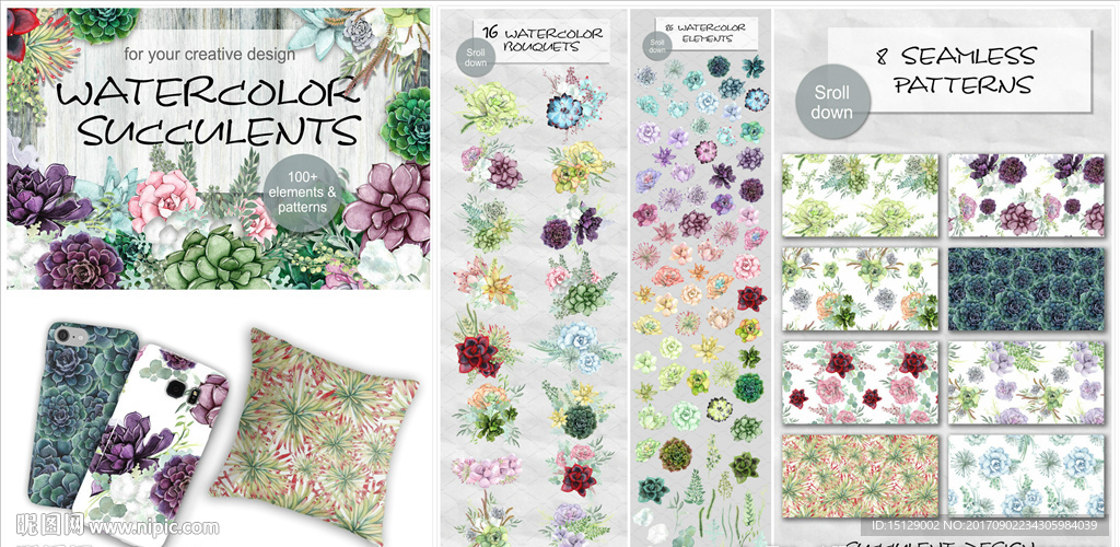 手绘多肉植物水彩画