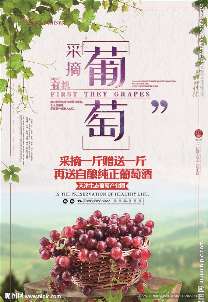新鲜采摘 葡萄 水果 促销海报