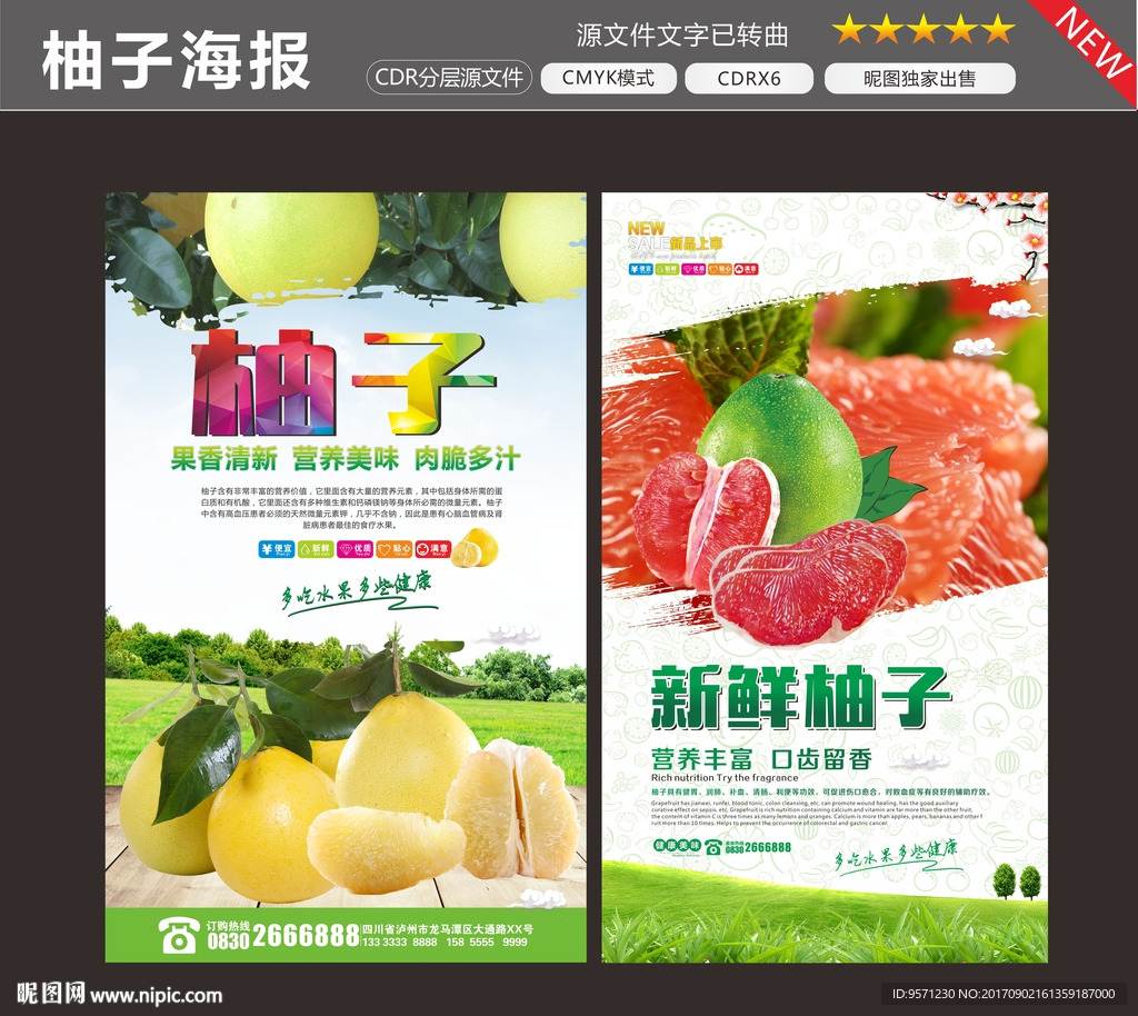 柚子