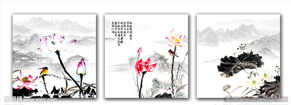 荷花