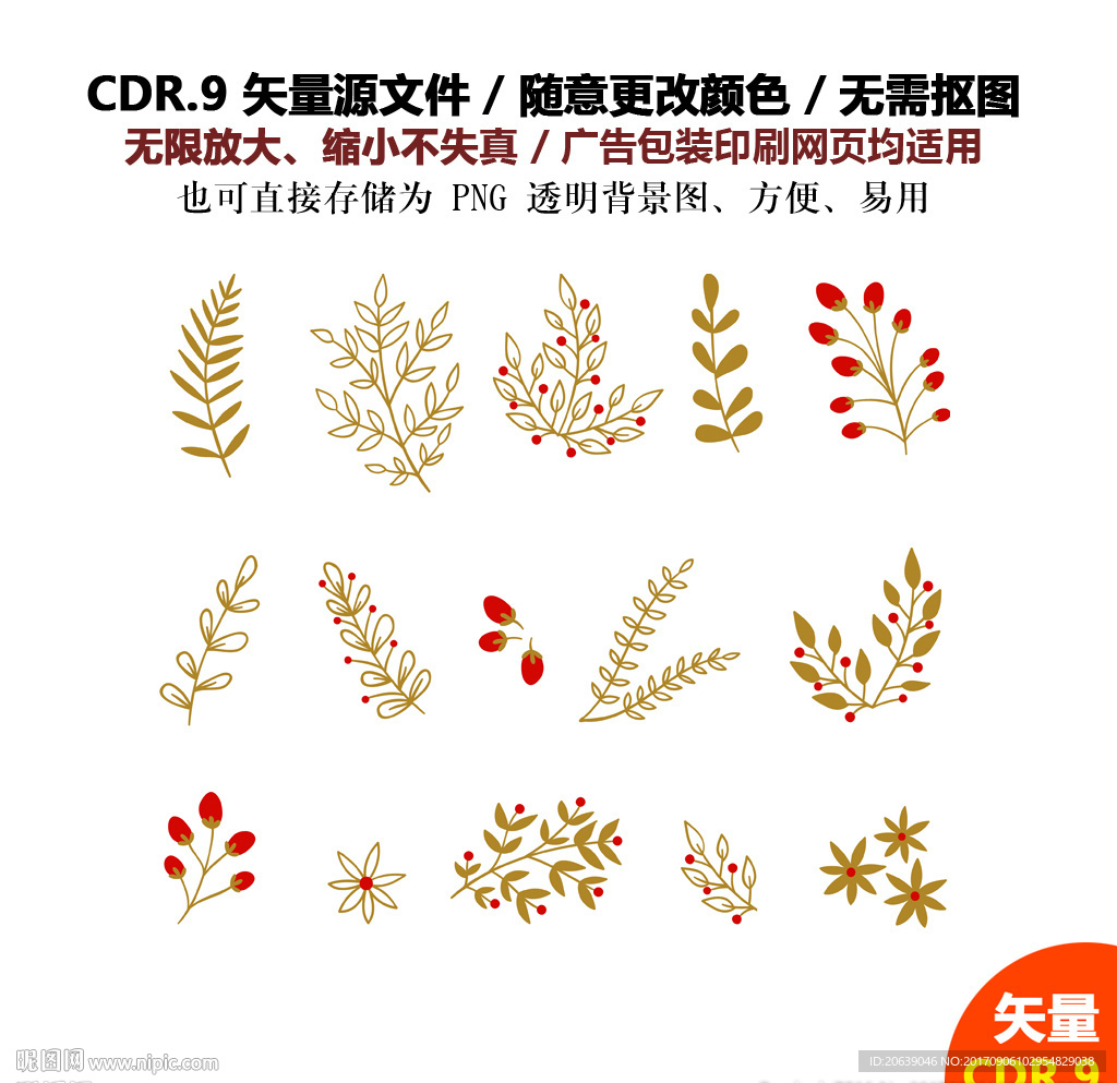 彩色树叶花草果子矢量图