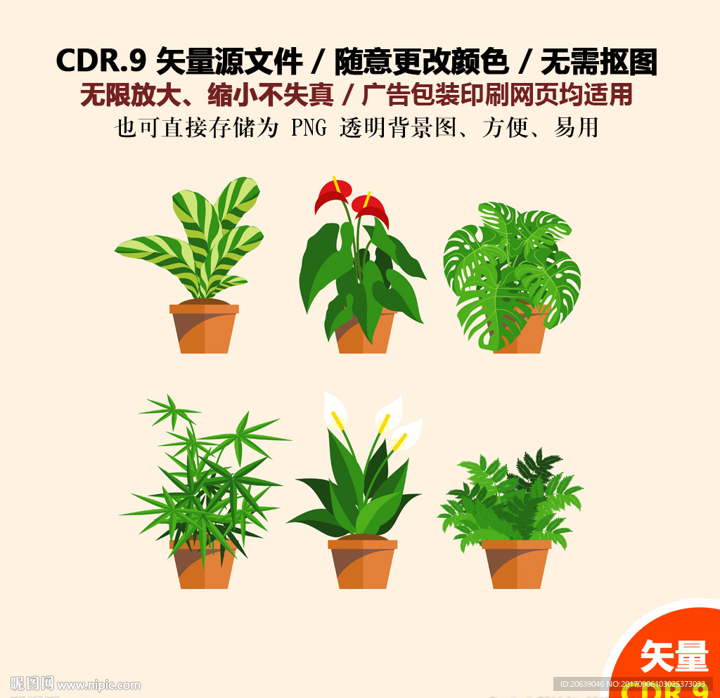 手绘植物花草盆景矢量图