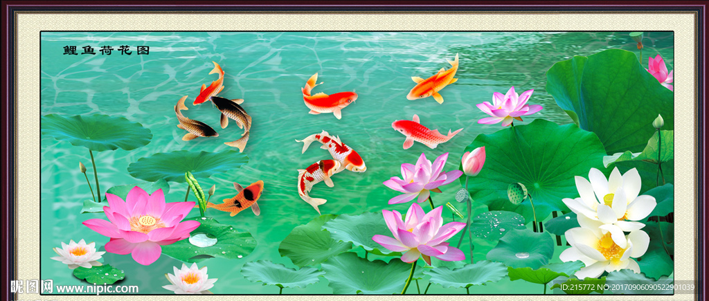 荷花鲤鱼图
