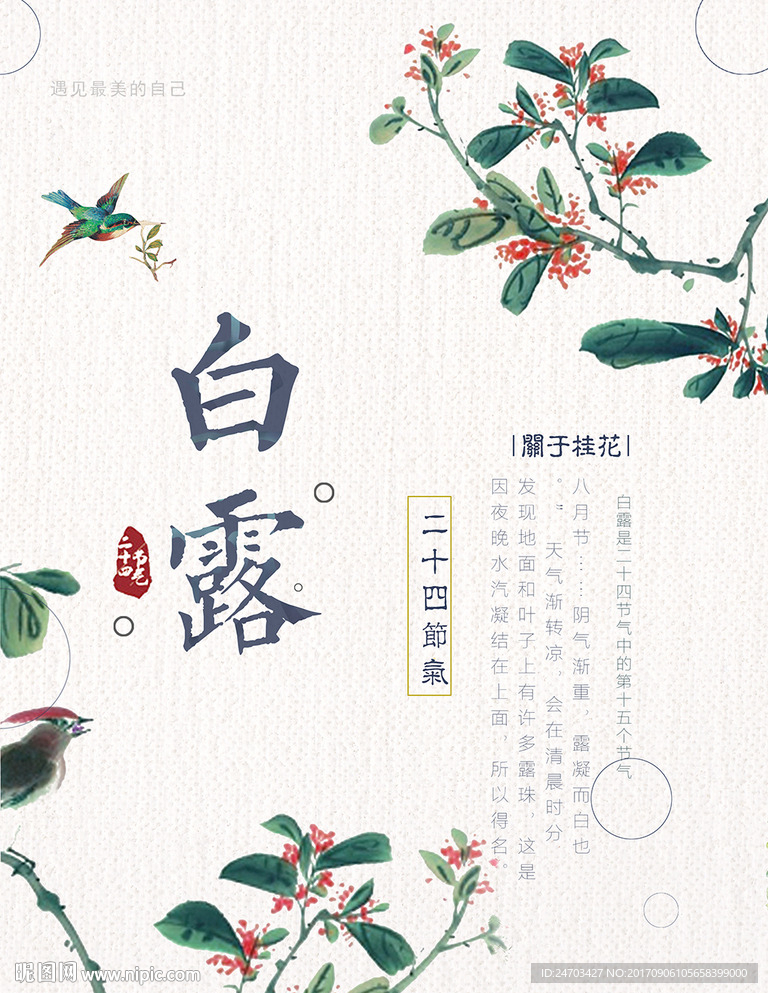 中国风简约白露节气海报