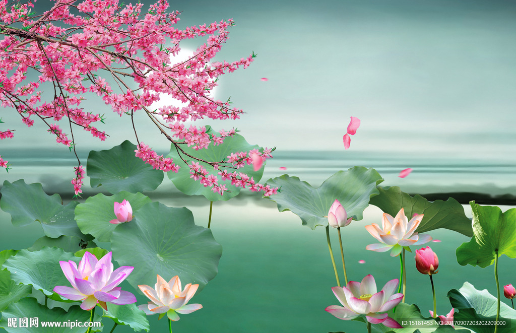 荷花壁画