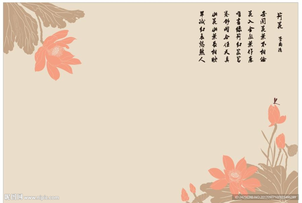 荷花