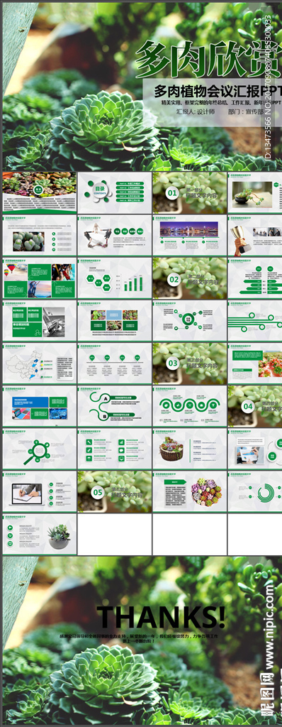 多肉植物介绍PPT模板
