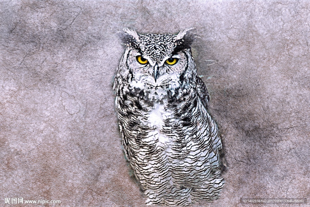 手绘猫头鹰
