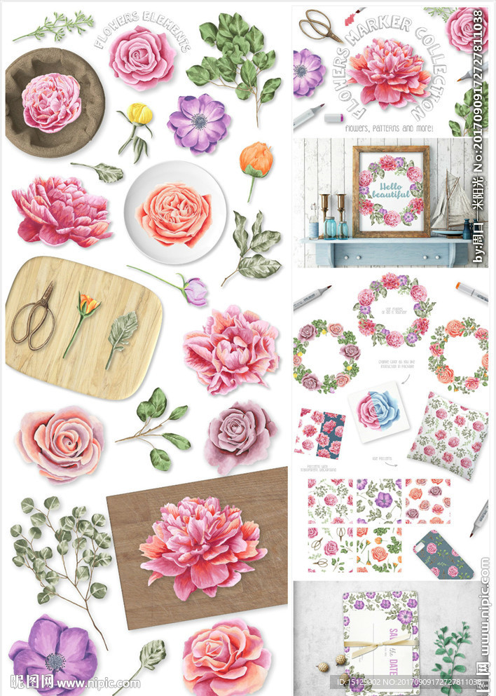 手绘牡丹玫瑰花朵花瓣水彩画