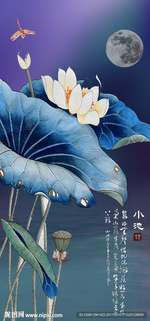 玄关荷花