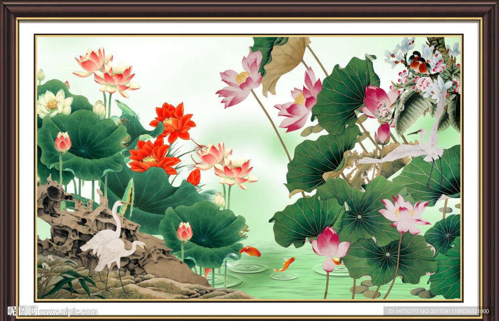 国画荷花