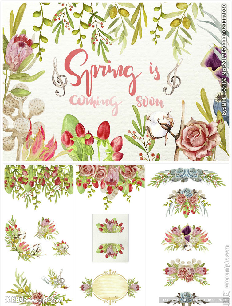 春季花朵花枝水彩画