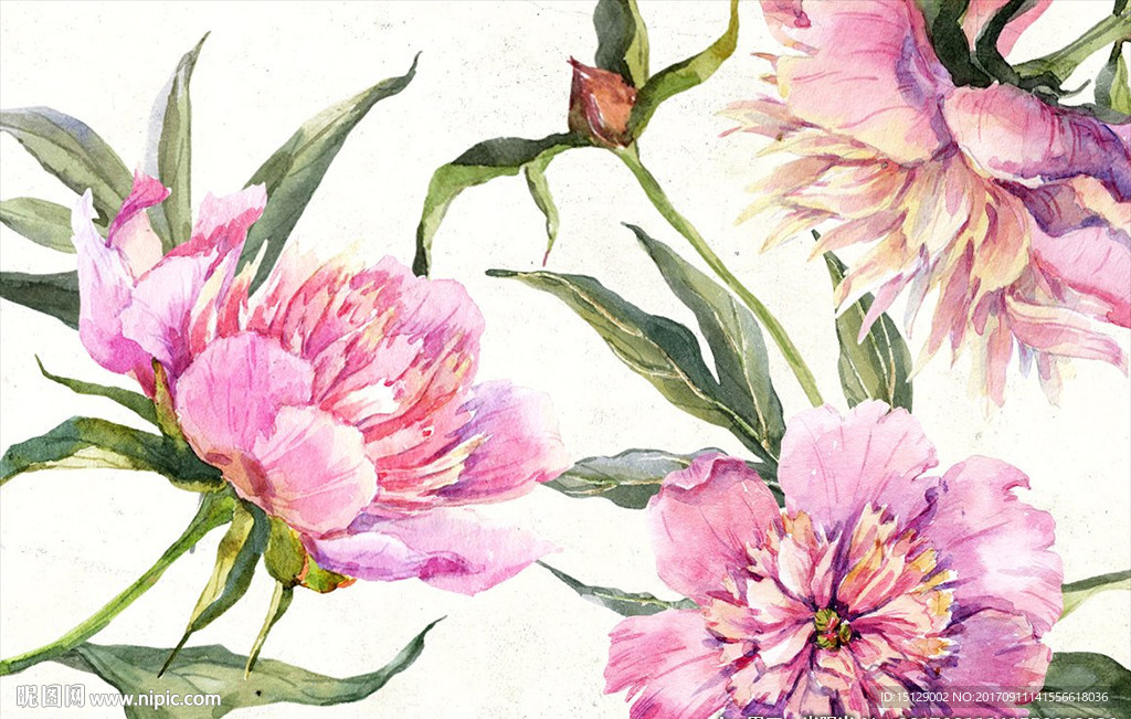 国画牡丹水彩画