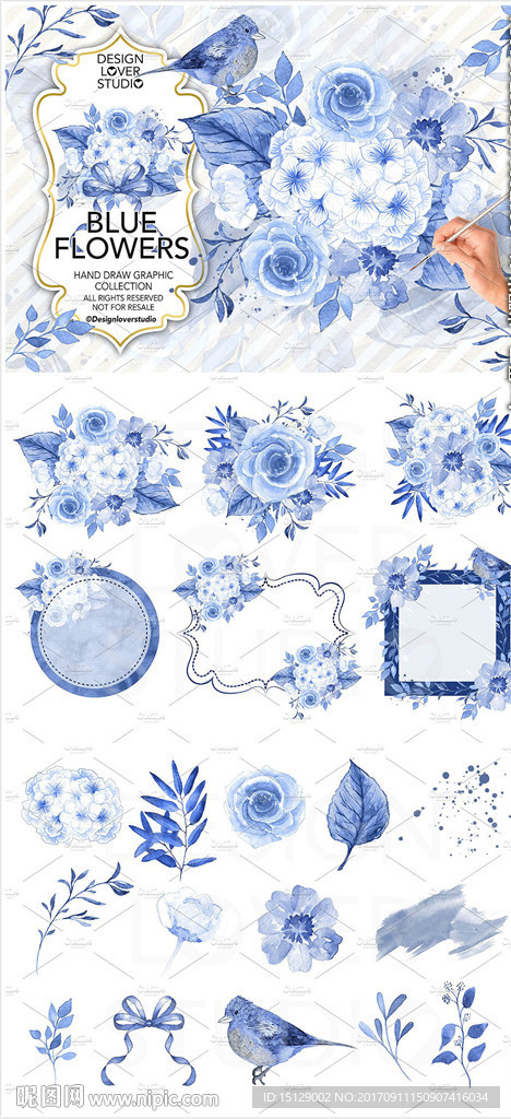 手绘蓝色花鸟水彩画