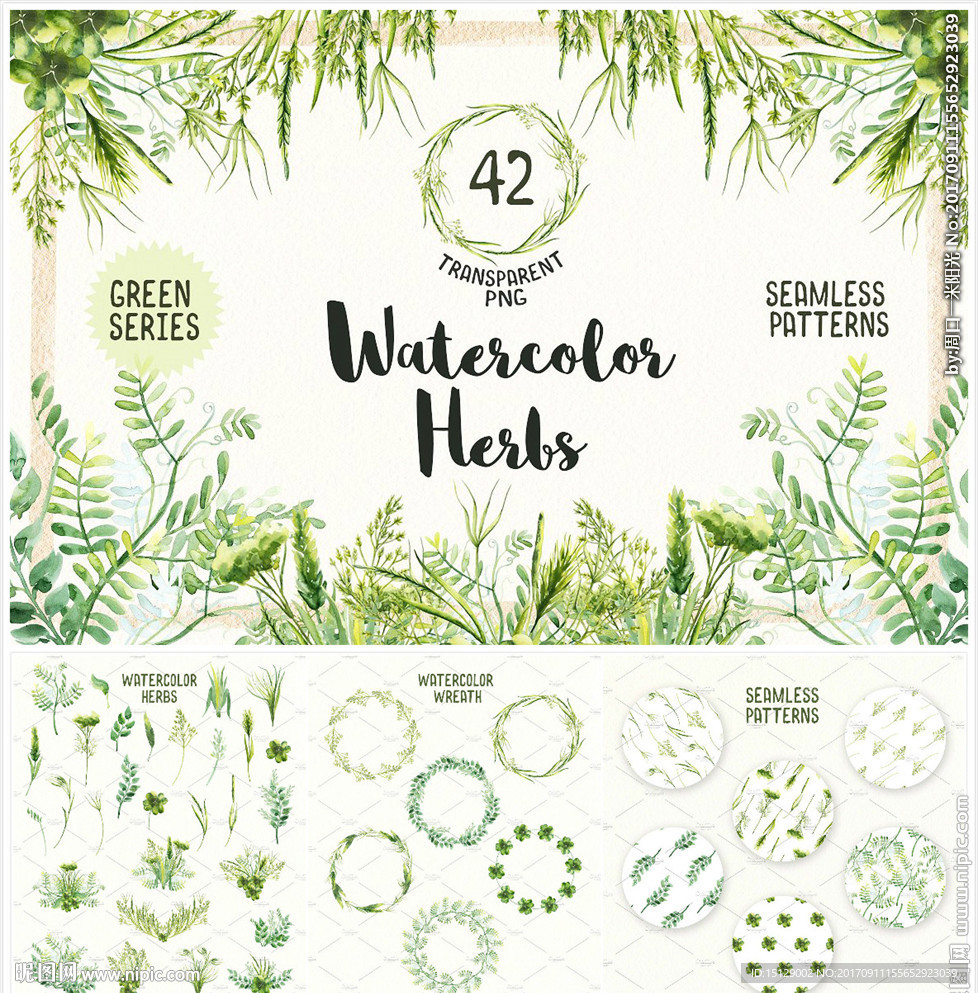 绿植青草药草水彩画