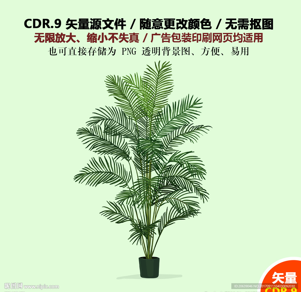 手绘棕榈植物散尾葵树苗矢量图