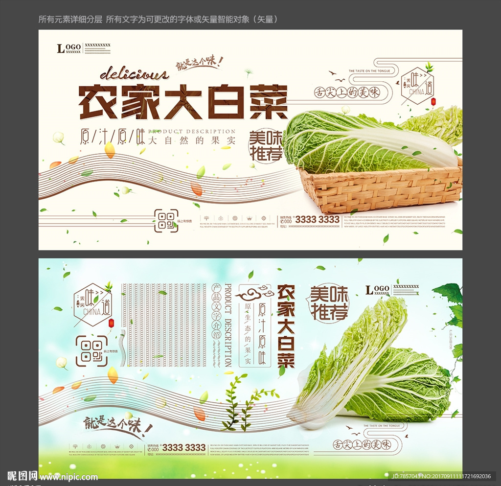 大白菜