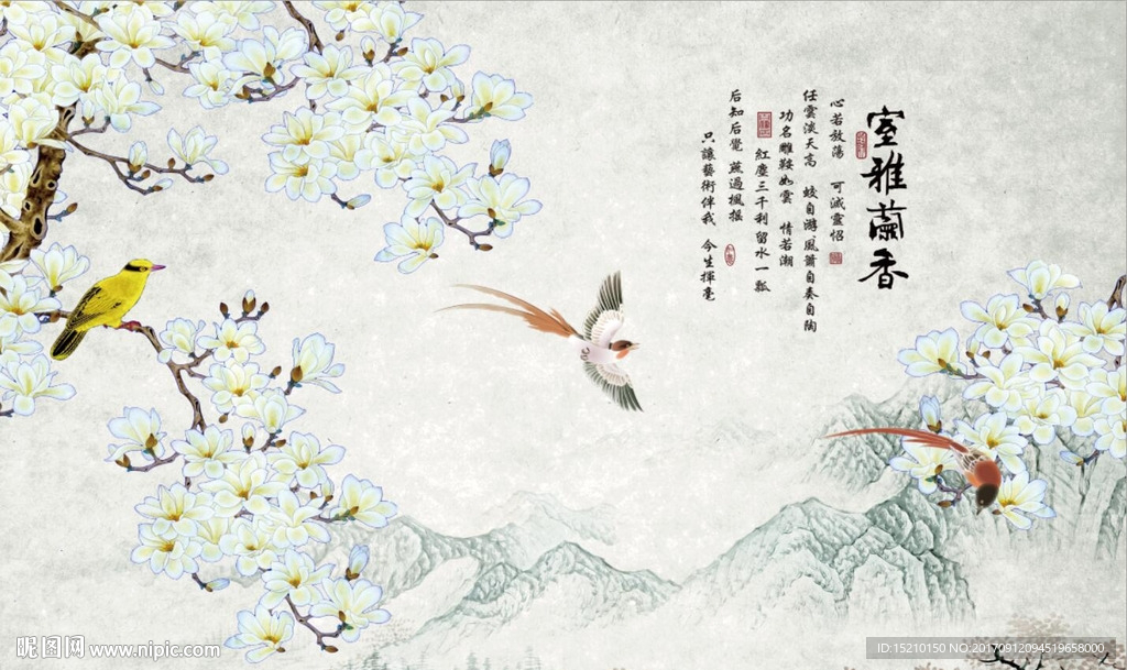 室雅兰香玉兰花