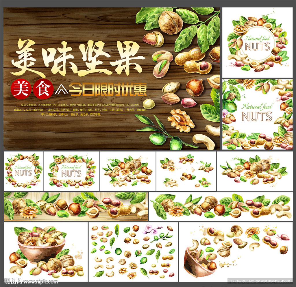 水彩坚果素材