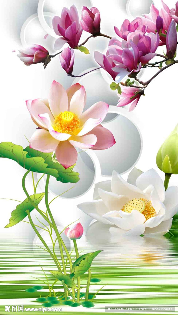 3d玄关荷花