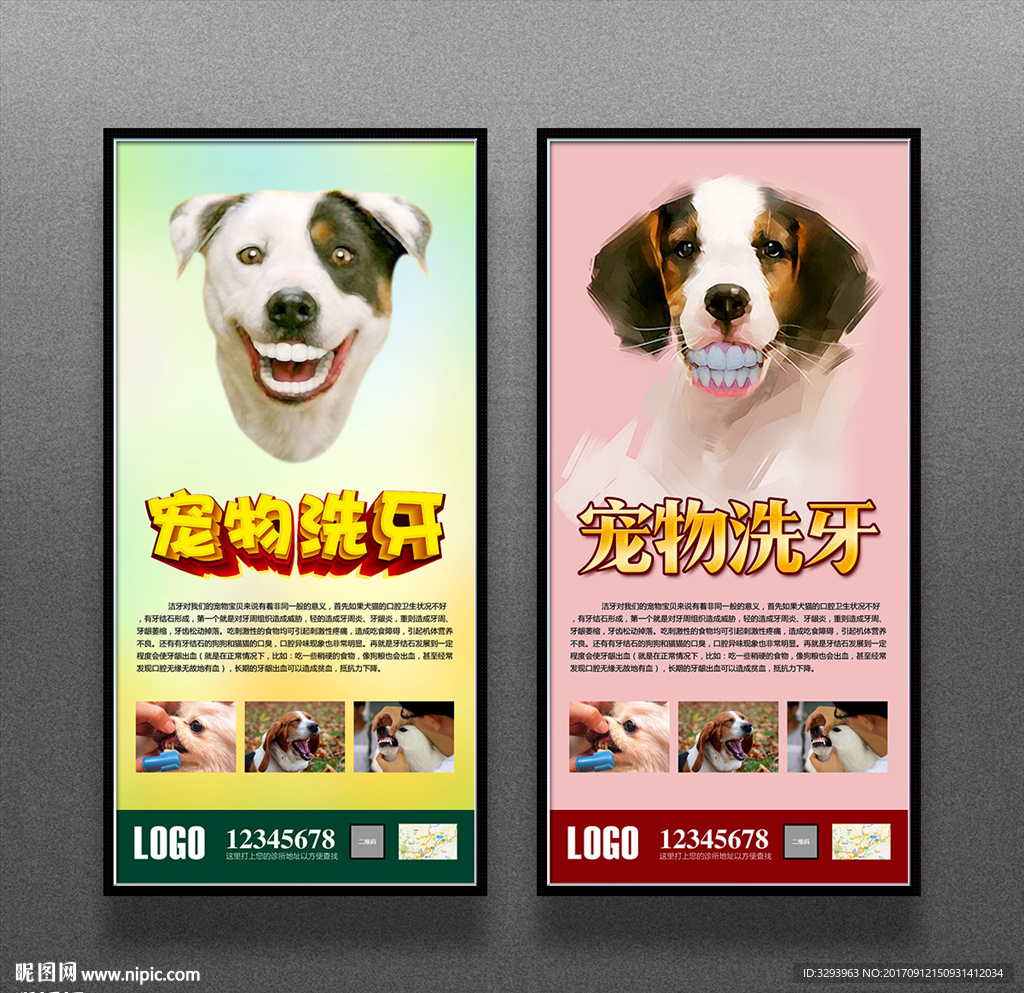宠物洗牙