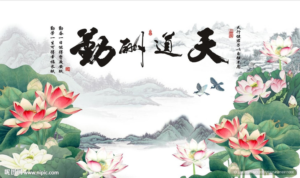 天道酬勤荷花图