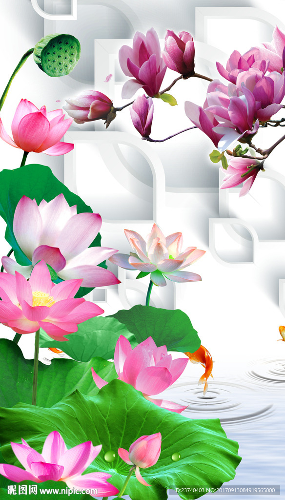 3d玄关荷花