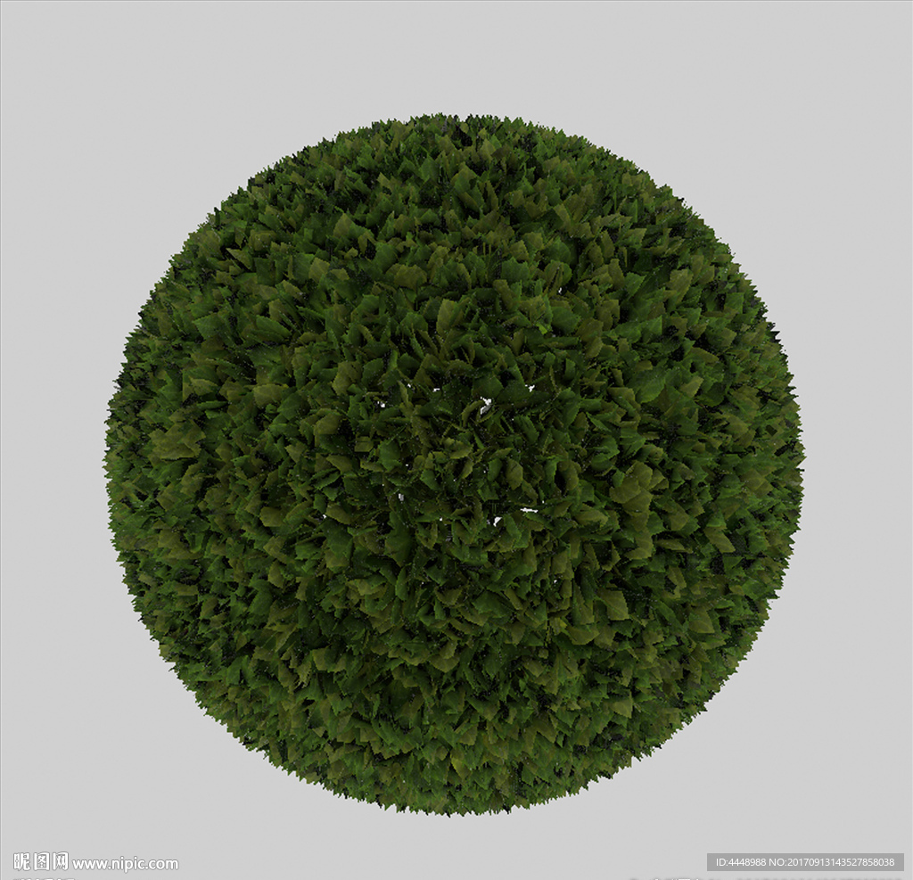 金森女贞球模型