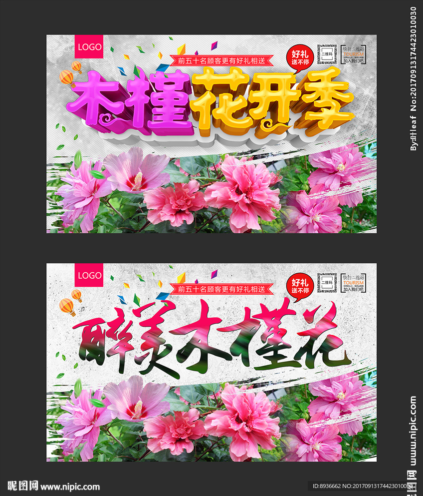 木槿花