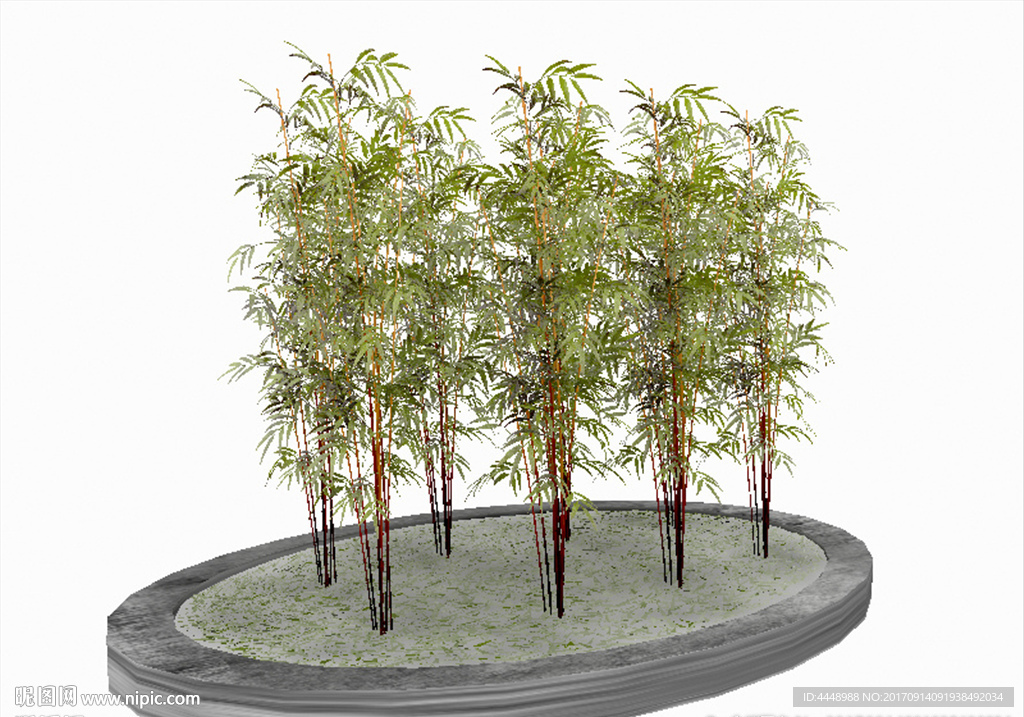 紫竹林模型