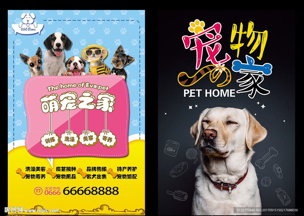 宠物海报