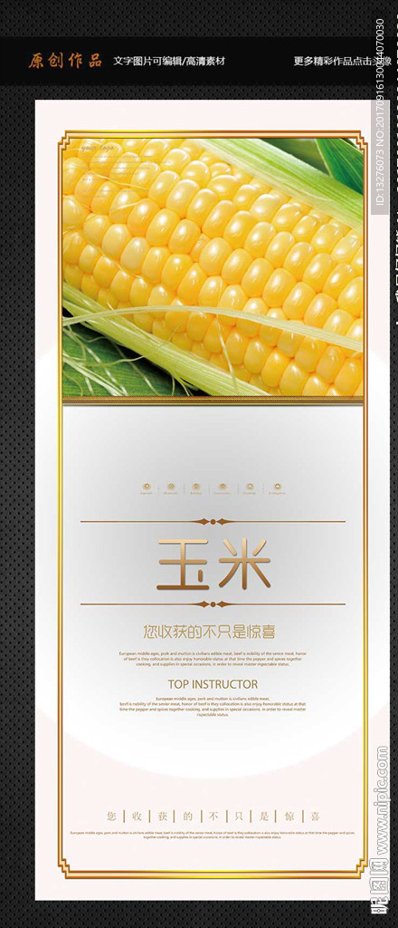 玉米