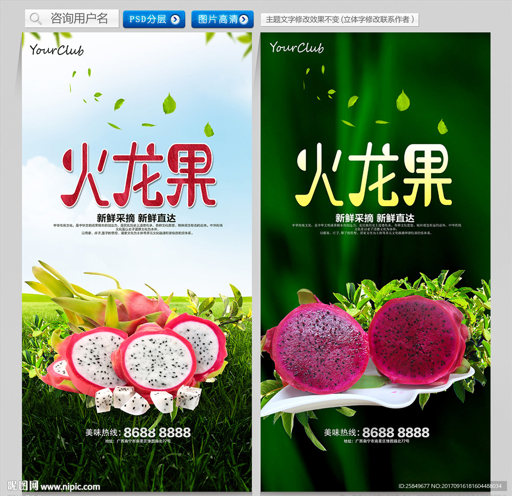 火龙果