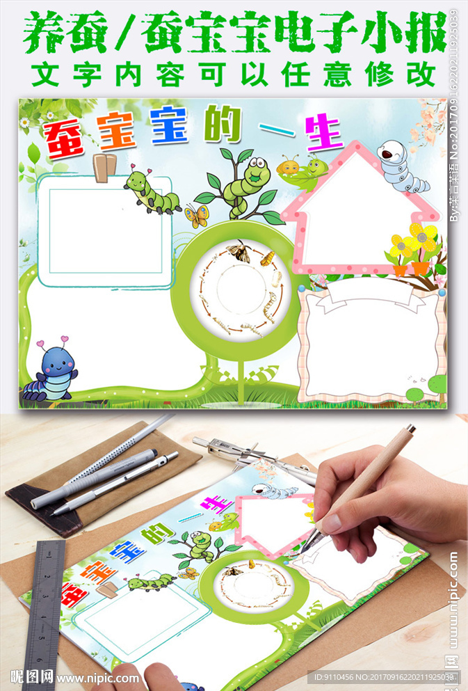 养蚕小报蚕文化蚕宝宝观察生长手