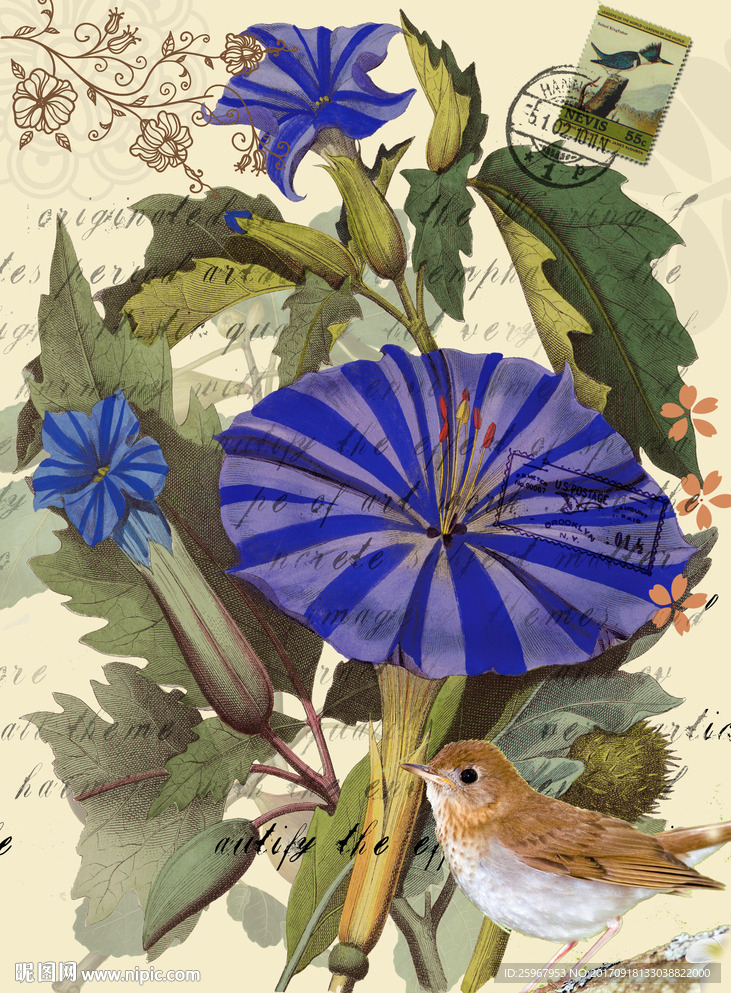花鸟装饰画